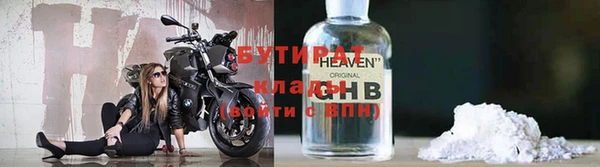 шишки Беломорск